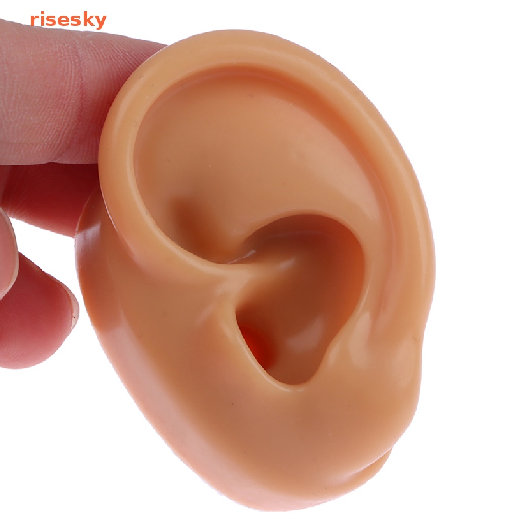 1 Mô Hình Tai Nhân Tạo Bằng Silicon Mềm Dùng Dạy Học