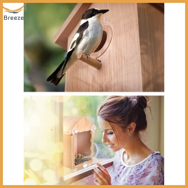 Tổ Chim Hình Ngôi Nhà Bằng Gỗ Có Giác Hút Mạnh 21cm