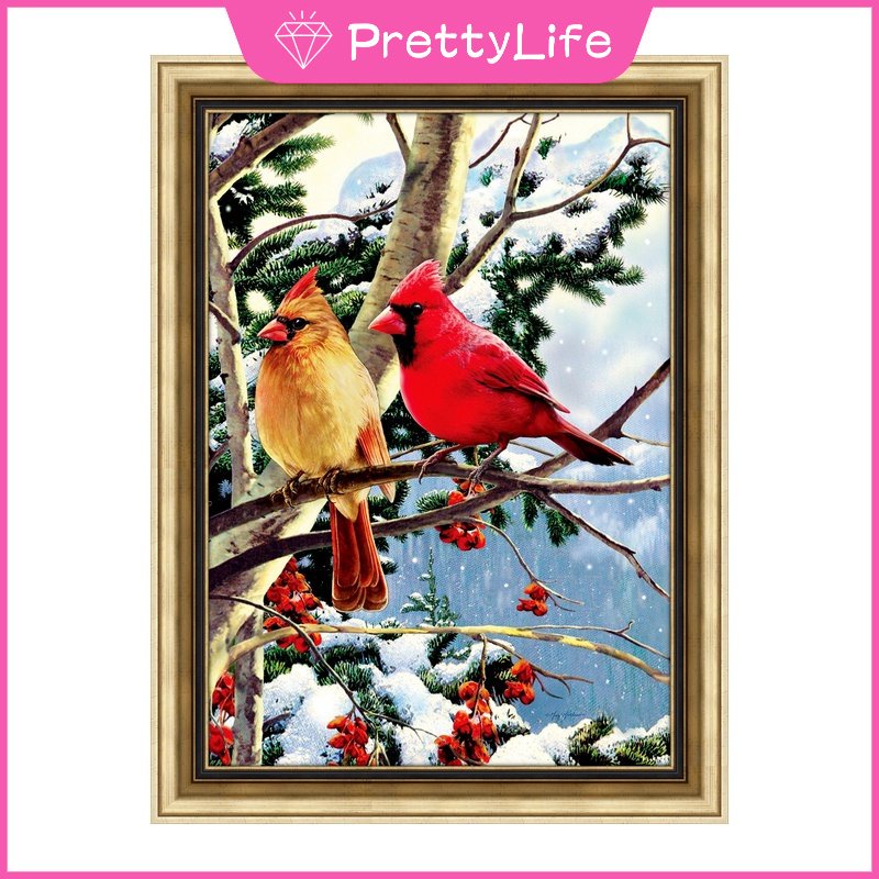 Bộ Tranh Đính Đá 5D Họa Tiết Hoa Và Chim Ruồi Độc Đáo Kích Thước 30x40cm / 40x50cm Dùng Trang Trí Nhà Cửa