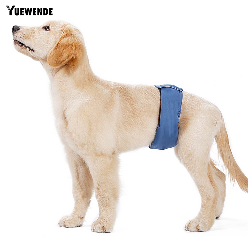 Quần An Toàn Thoáng Khí Dễ Mặc Dành Cho Thú Cưng