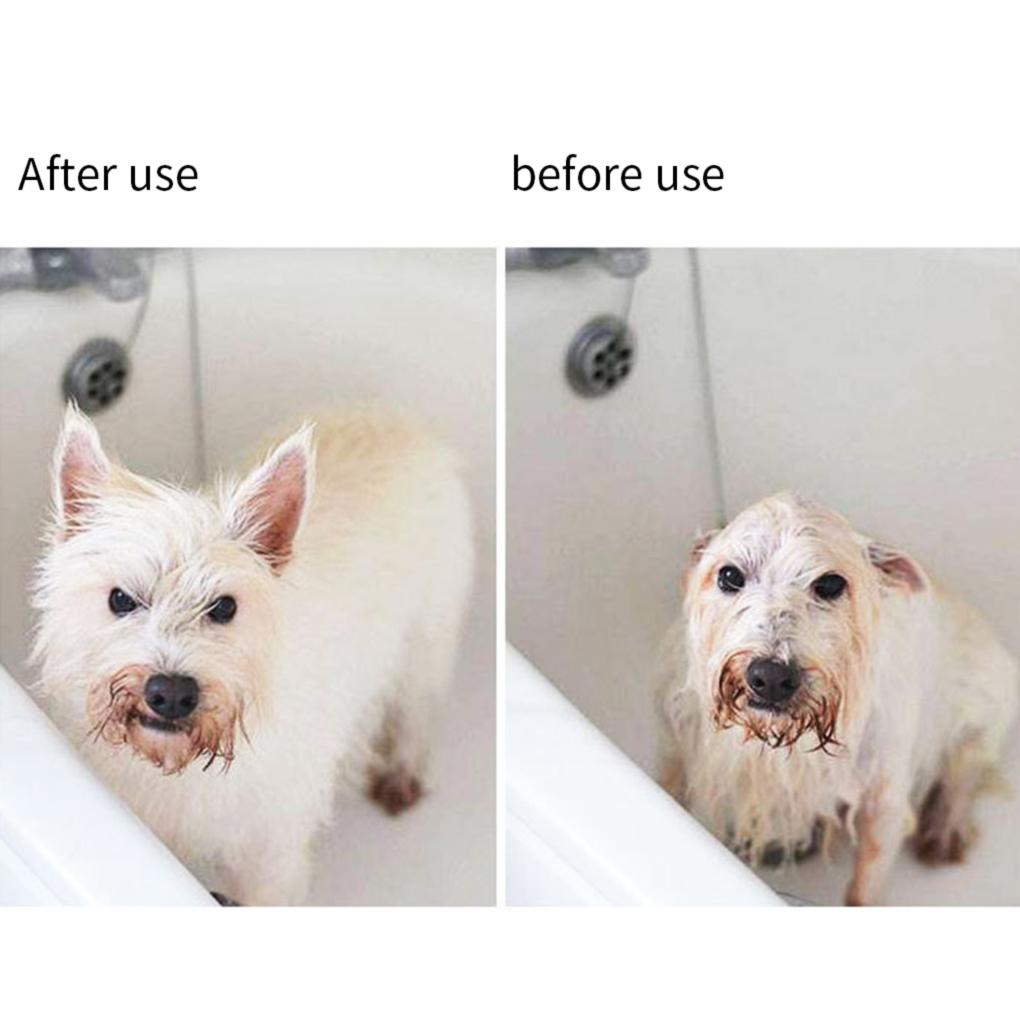 Lược Chải Lông Thú Cưng Bằng Thép Không Gỉ