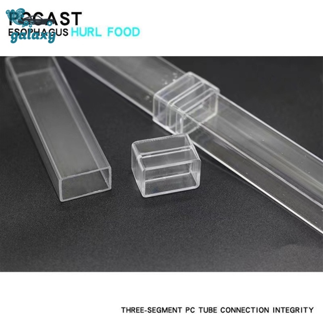 Galaxy Bát Đựng Thức Ăn Cho Cá Ăn Có Giác Hút Tiện Lợi