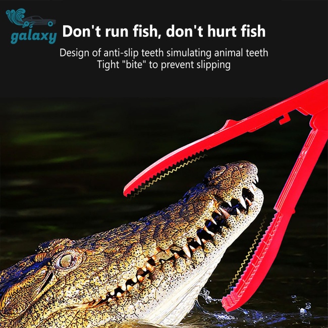 Dụng Cụ Kẹp Cá Trọng Lượng Nhẹ Tiện Dụng