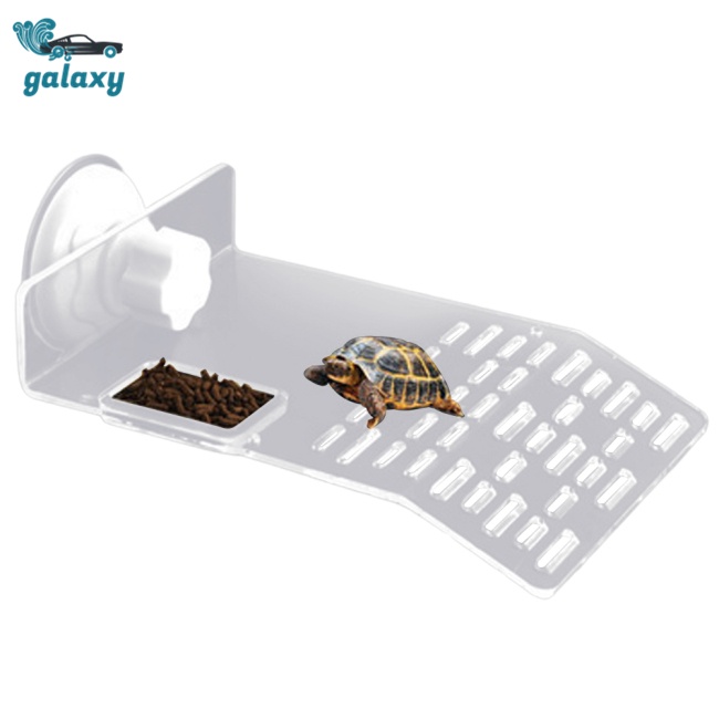 Galaxy Bệ Đứng Trong Suốt Có Cốc Hút Dành Cho Bể Nuôi Rùa