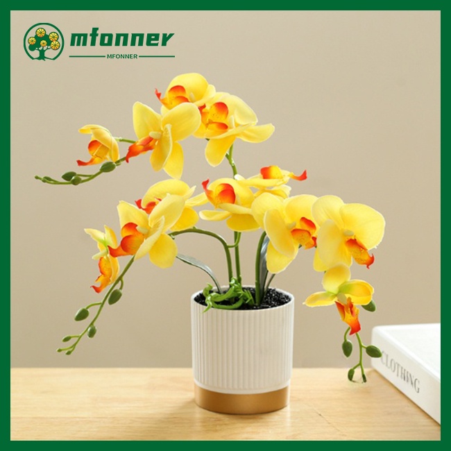 Chậu Cây Hoa Lan Giả 3 Nhánh Dùng Trang Trí Phòng Khách / Phòng Ngủ