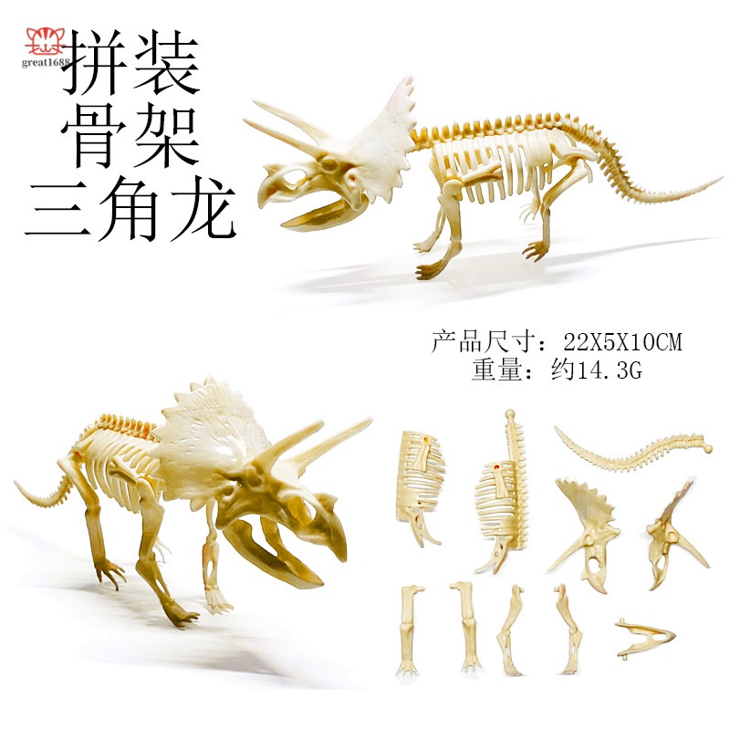 Bộ Xương Khủng Long Lắp Ráp Kích Thước 21CM