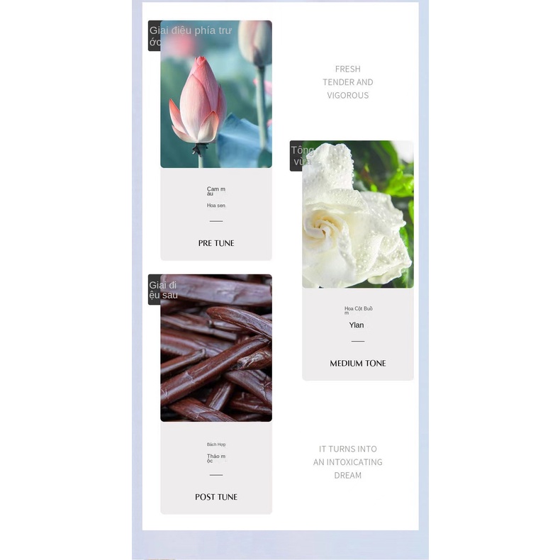 Nước Hoa Niche Hương Thơm Tươi Mát Và Lâu Phai Thiết Kế Hình Gấu Hoạt Hình Dễ Thương Cho Nữ