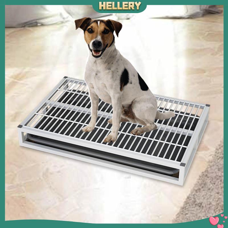 Toilet Huấn Luyện Thú Cưng Đi Vệ Sinh Tái Sử Dụng Tiện Lợi