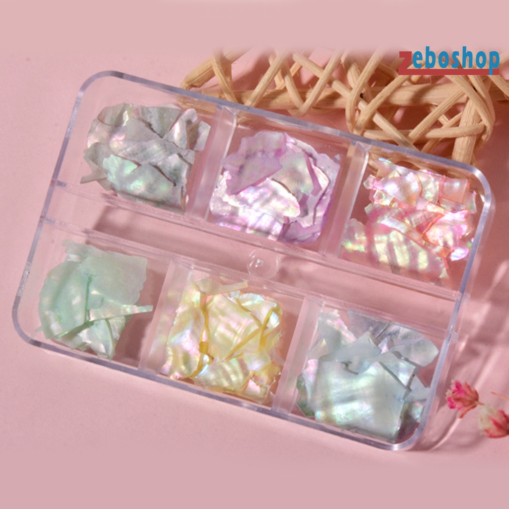 1 Hộp Vỏ Sò 3D Trang Trí Móng Tay Nghệ Thuật