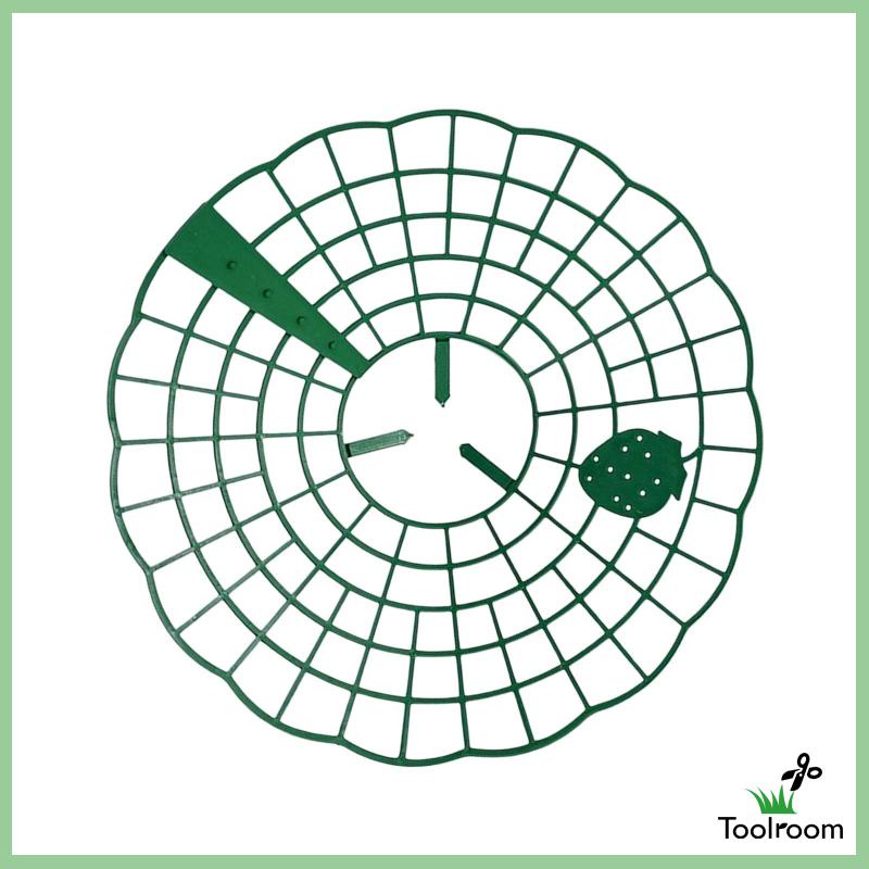 Giá Đỡ Hỗ Trợ Trồng Dâu Tây Tiện Dụng Cho Sân Vườn