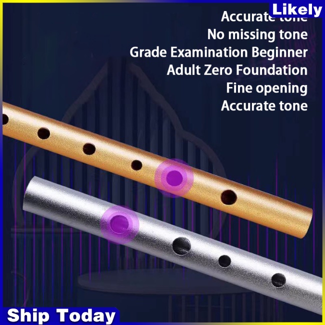 Sáo Thổi C Tune / D Tune Dễ Học Nhạc Dành Cho Người Mới Bắt Đầu