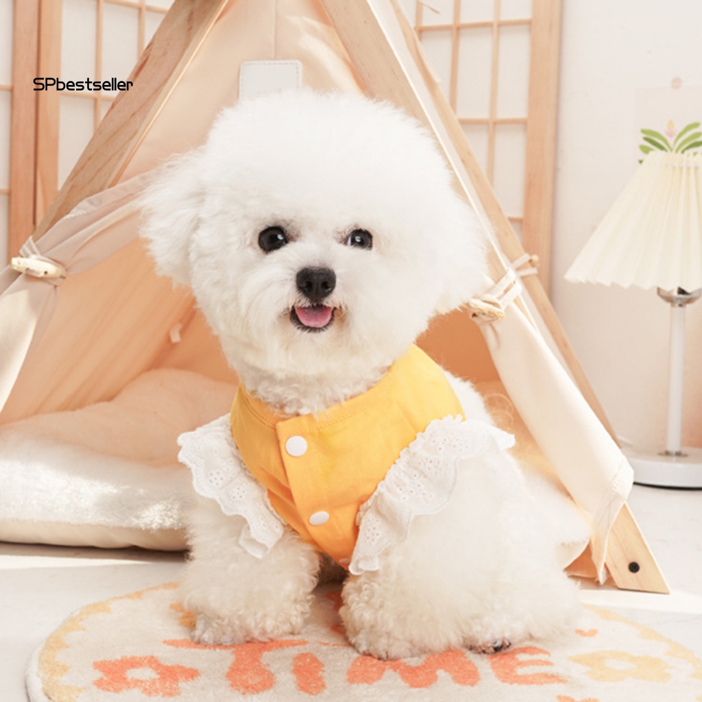 Dây Dắt Thú Cưng Đi Dạo Cỡ Nhỏ / Vừa / Nhỏ Dễ Điều Chỉnh