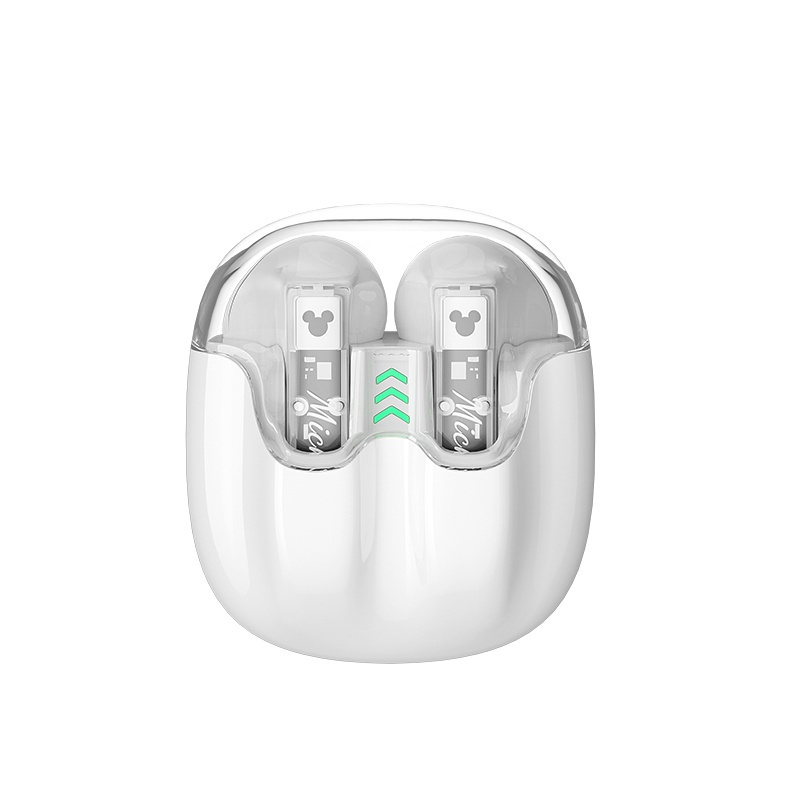 Tai Nghe Bluetooth 5.3 5.3 Âm Thanh HIFI Stereo Chống Nước Giảm Ồn Disney C21