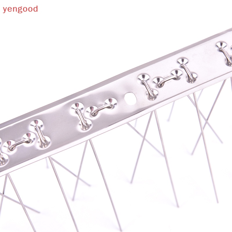 Đinh Tán Bằng Thép Không Gỉ Gắn Chuồng Chim Bồ Câu Tiện Dụng