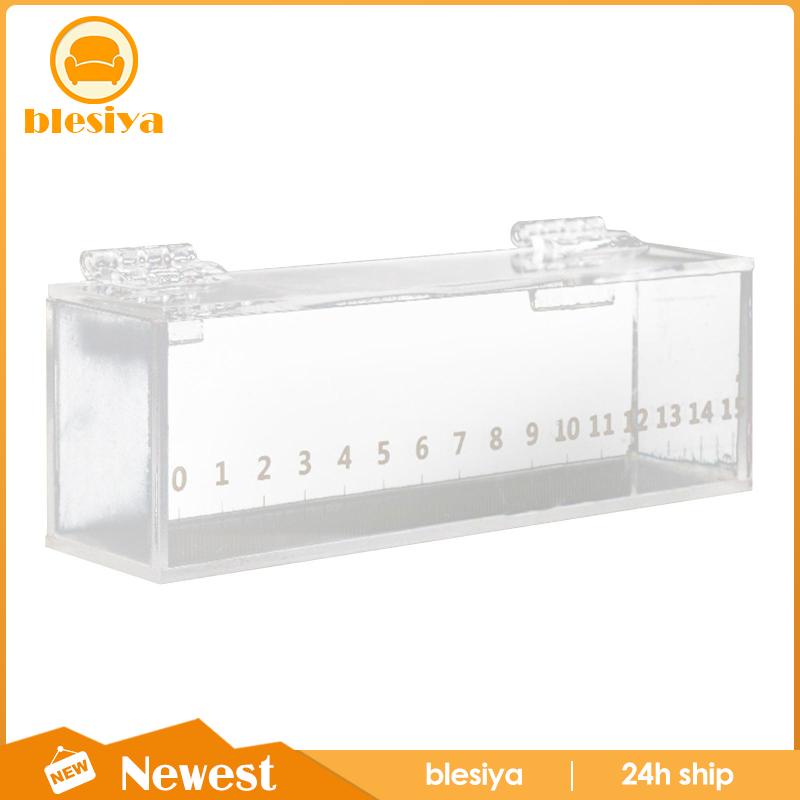 [Blesiya] Hộp Đựng Cá Mini Bằng Acrylic Trong Suốt