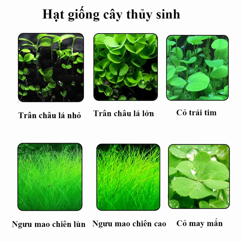 Rẻ 🥇Đất nền thủy sinh, Phân nền thủy sinh chuyên dùng cho hồ thủy sinh, cây thủy sinh, Hạt giống cây thủy sinh