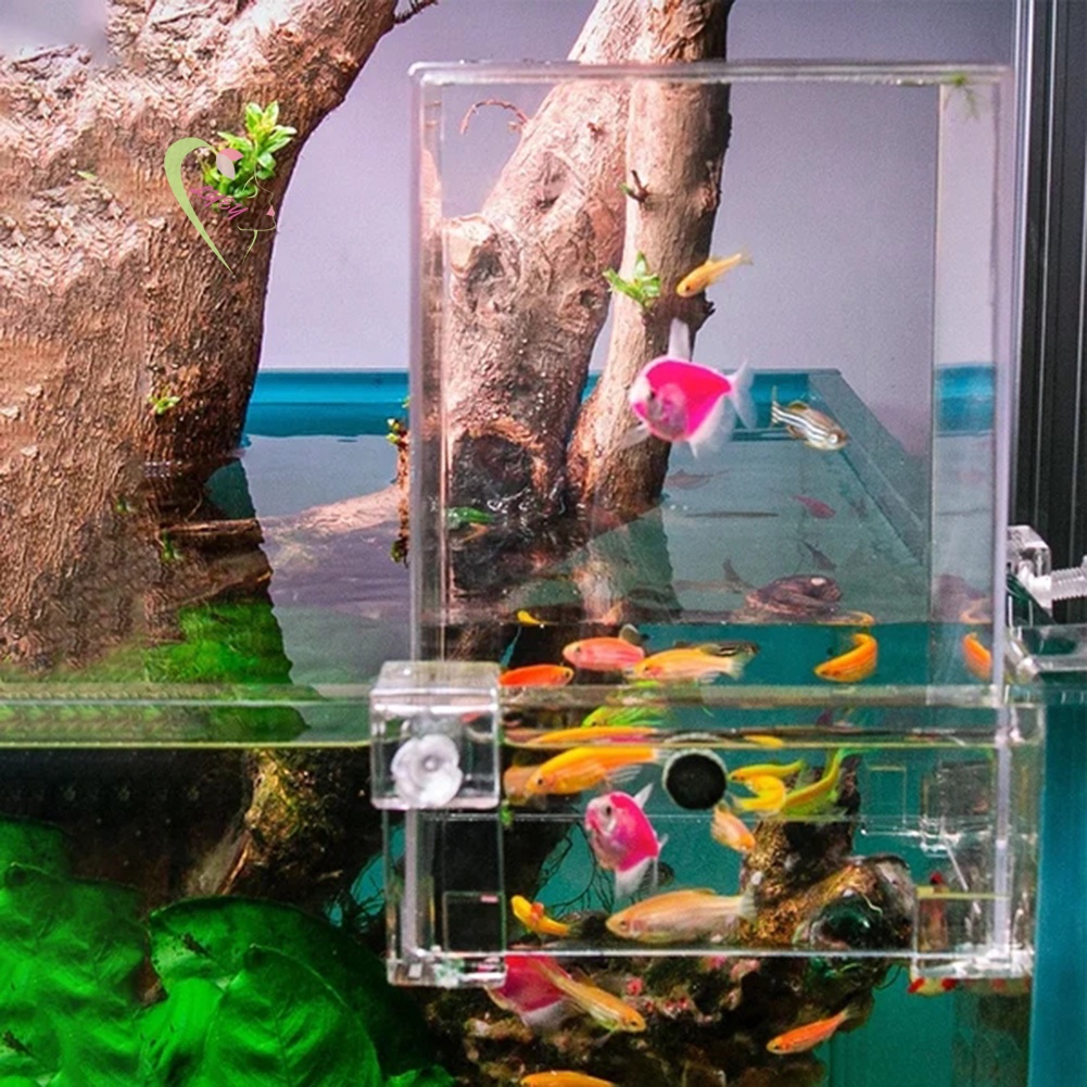 Bể Cá Áp Suất Âm Thanh Bằng Acrylic Trang Trí Bàn Làm Việc