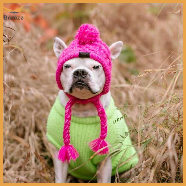Mũ Beanie Dệt Kim Đính Bóng Lông Tua Rua Cách Nhiệt Chống Gió Giữ Ấm Mùa Đông Cho Cún Cưng