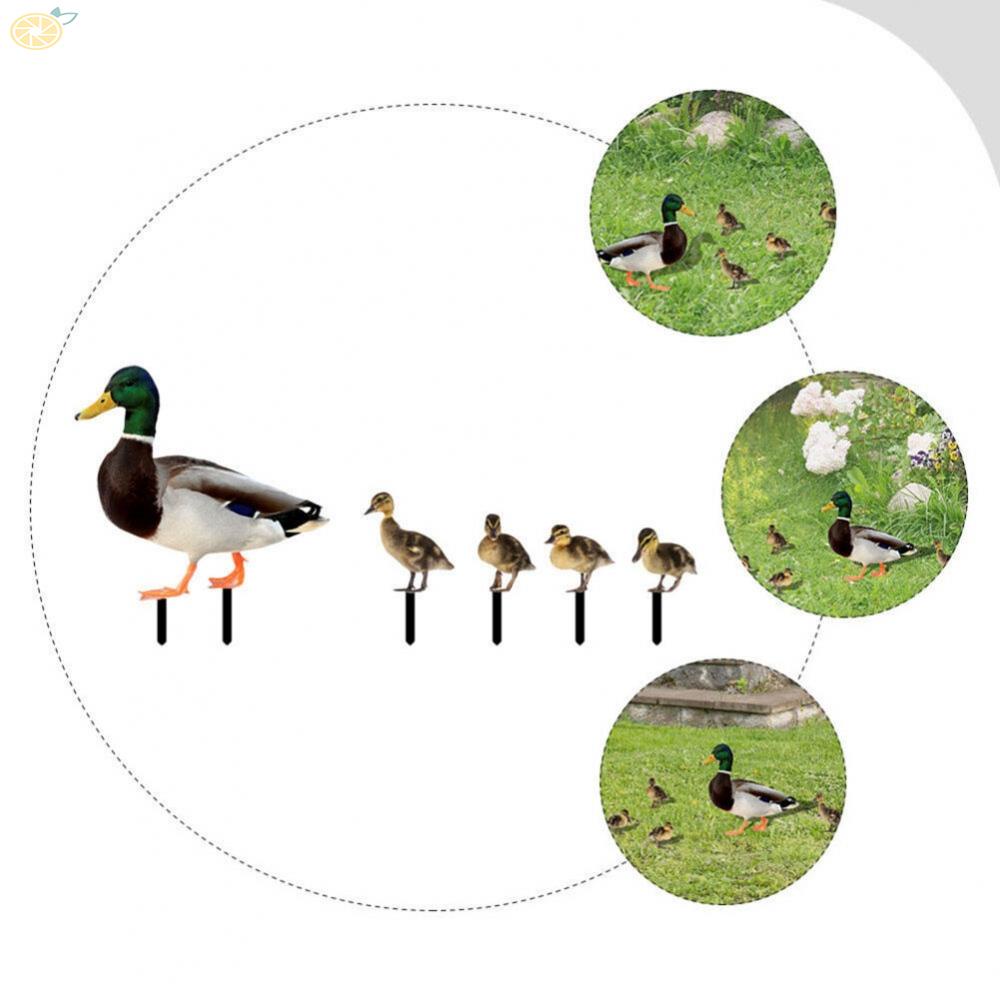 【VARSTR】Wear Resistant Acrylic Duck Stake – Fine Workmanship for Long Lasting Outdoor Decor