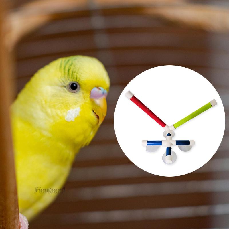Giá Đỡ Đứng Đồ Chơi Fenteer1 Có Giác Hút Gắn Tường Dành Cho Chim Vẹt