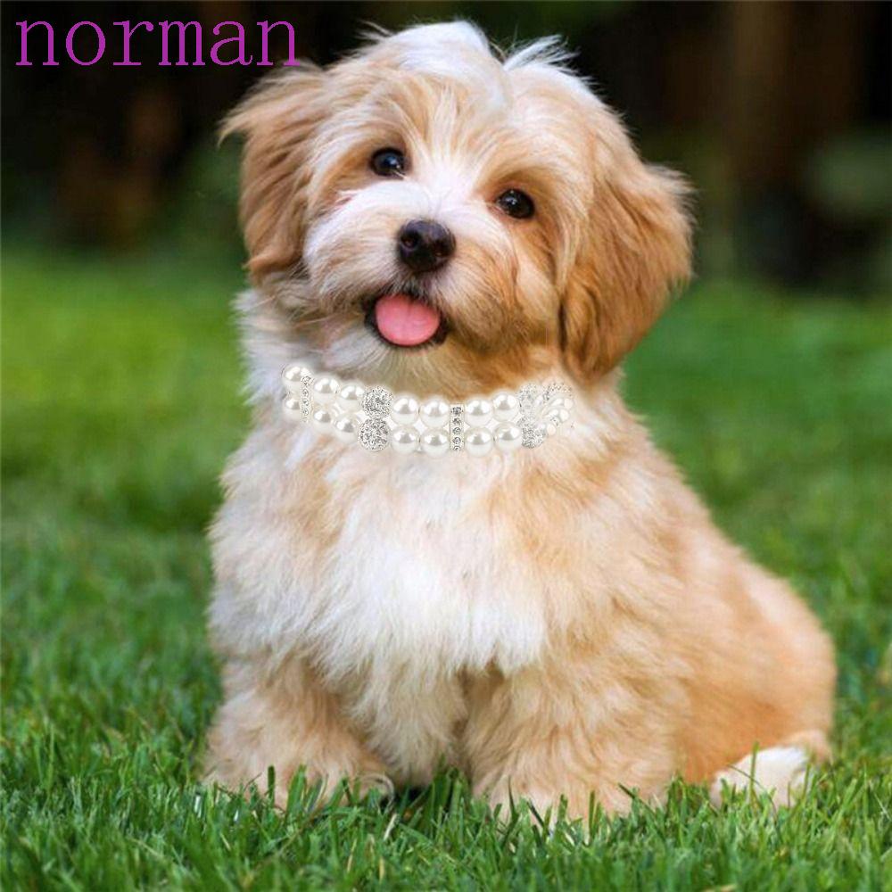 Dây Chuyền Mặt Mèo NORMAN|Vòng Cổ Cho Thú Cưng