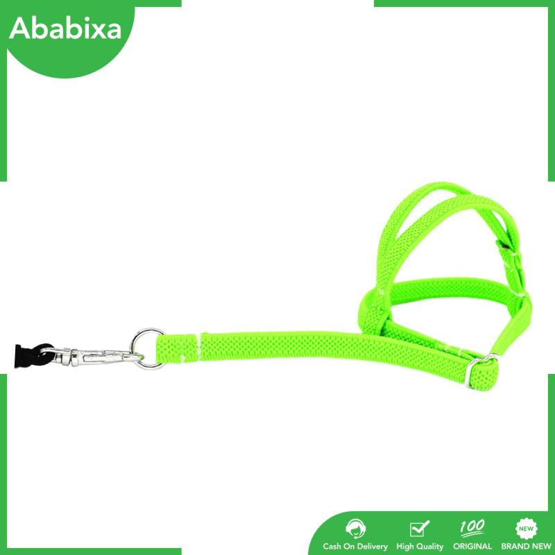 Dây Dắt Thú Cưng Đi Dạo Mềm Mại Co Giãn Chống Cắn Có Thể Điều Chỉnh Cho Macaw / Grackle / Cockatiel / Paraket