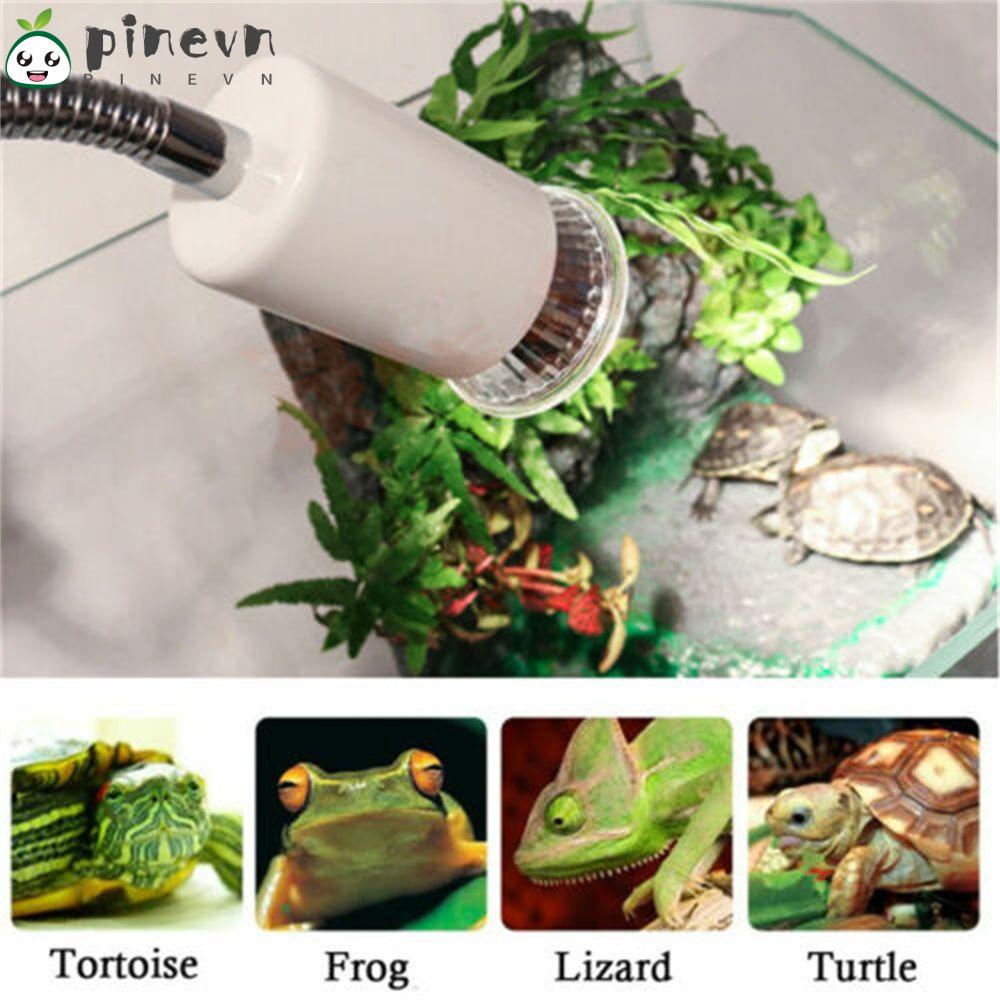 Giá Đỡ Bóng Đèn Sưởi Ấm Cho Bò Sát