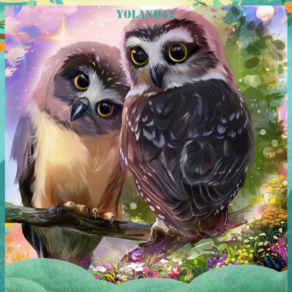 Tranh Đính Đá Kim Cương Toàn Bộ 5D DIY Hình Vẽ Con Cú