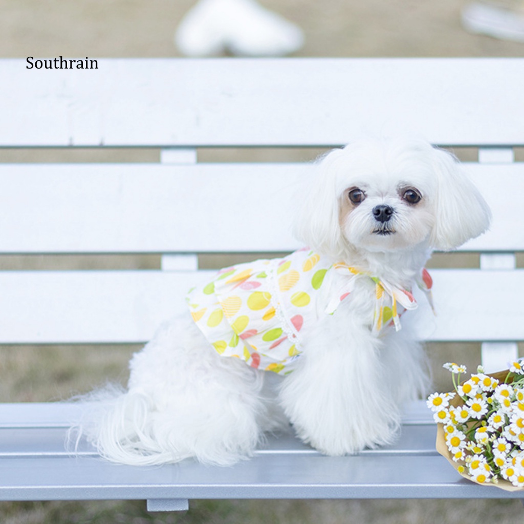 Đầm Hai Dây Dáng Dài In Họa Tiết Tươi Mới Thời Trang Cho Cún Cưng