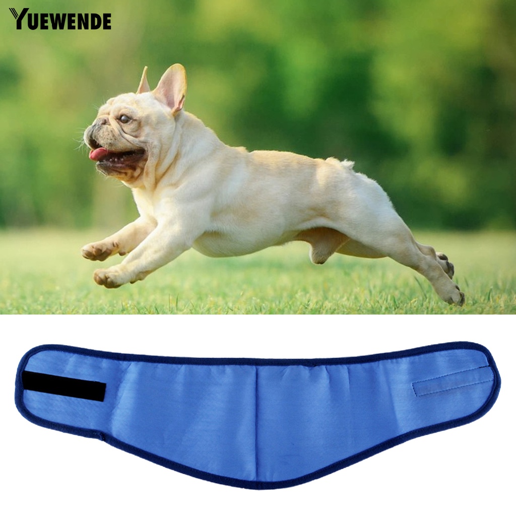 Yq.e Khăn Choàng Cổ Hình Tam Giác Làm Mát Thoáng Khí Có Thể Điều Chỉnh Nhiệt Độ Thời Tiết Mùa Hè Cho Thú Cưng