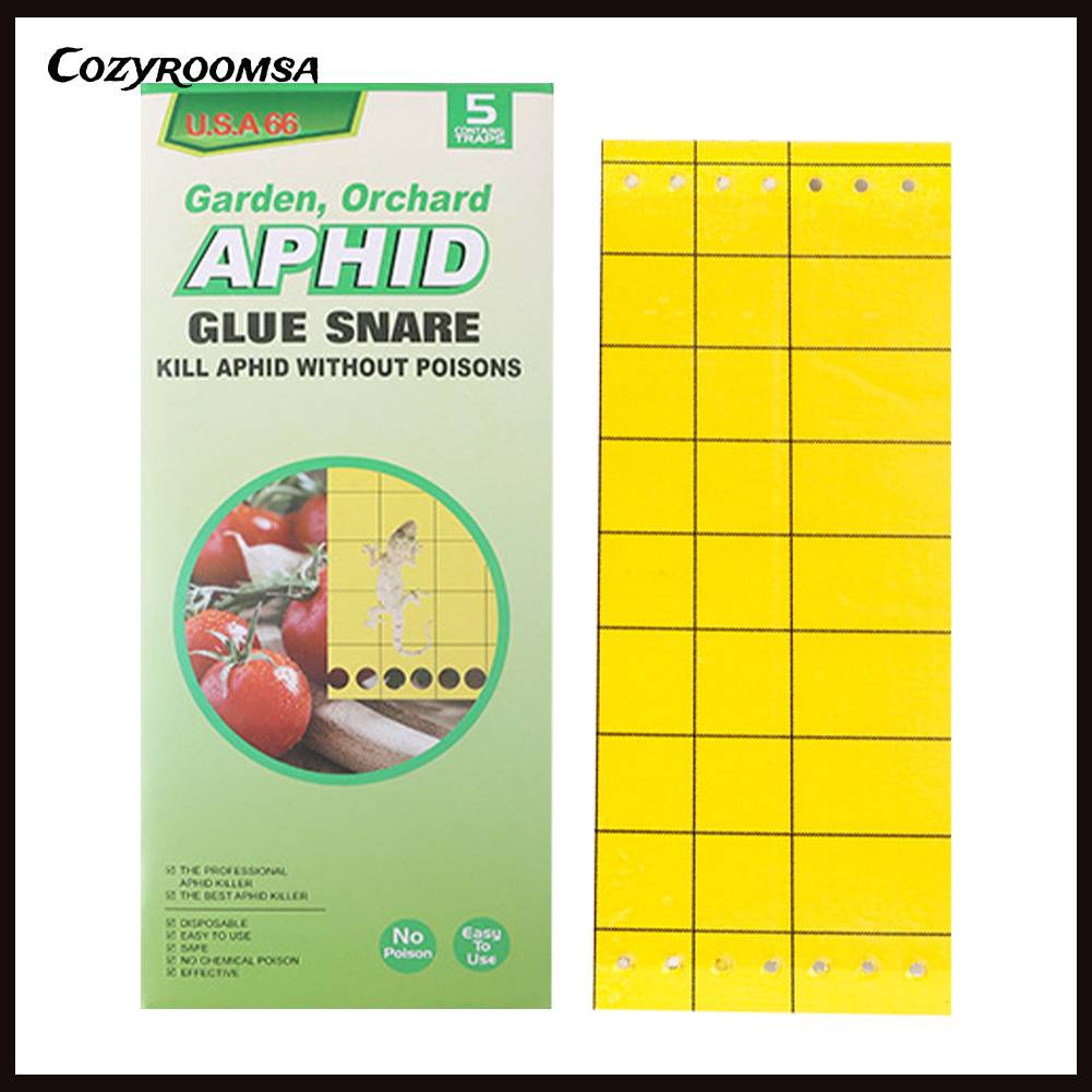 Set 3 / 5 / 6 Cuộn Giấy Bẫy Ruồi Không Độc Hại Tiện Dụng Cho Nhà Bếp