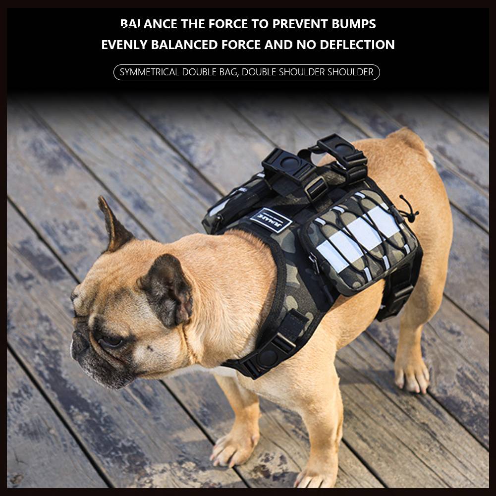 Ba Lô Đựng Thú Cưng Đi Bộ / Leo Núi Kèm Dây Đeo Tùy Chỉnh Tiện Dụng Cho