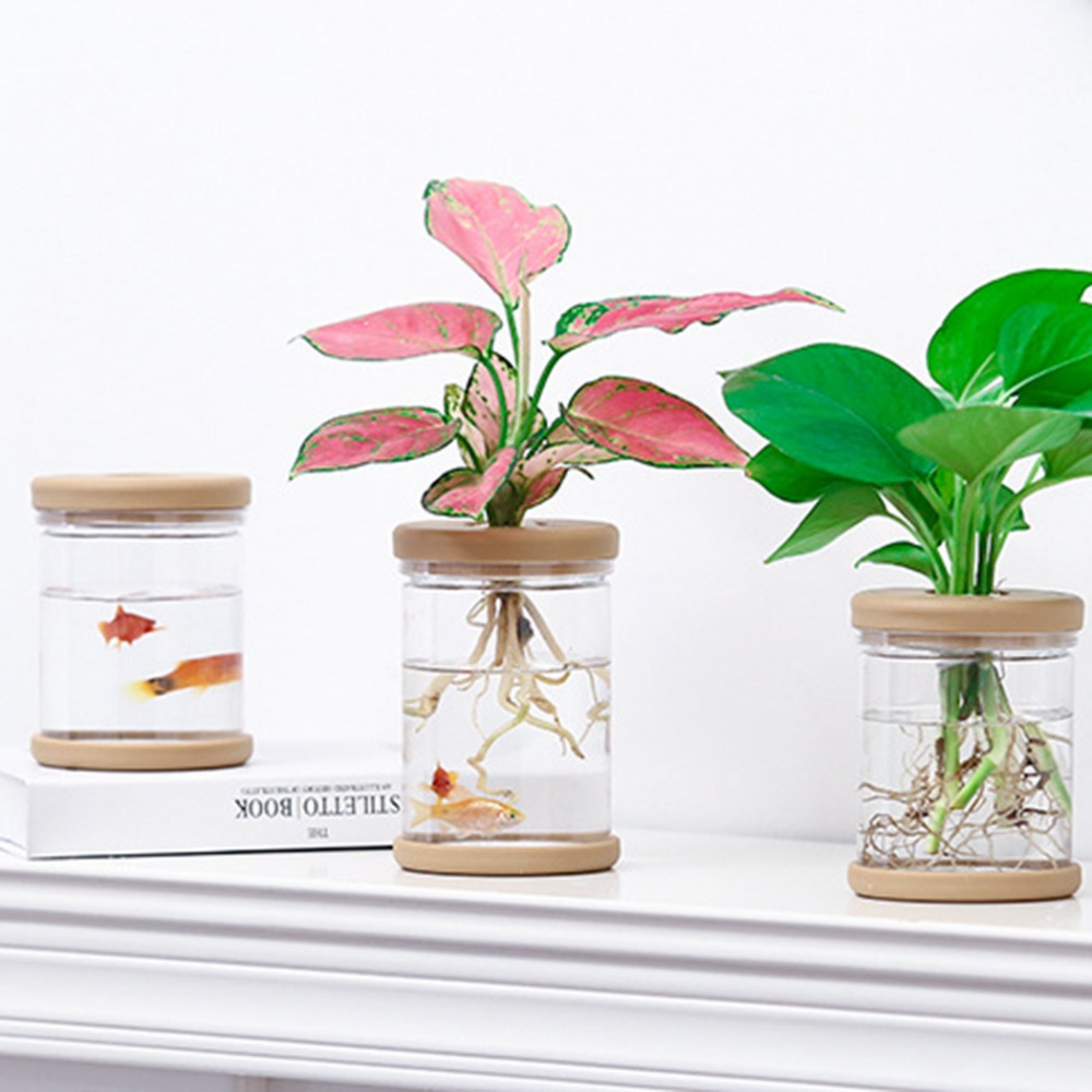 Chậu Hoa Nhỏ Bằng Thủy Tinh Trong Suốt