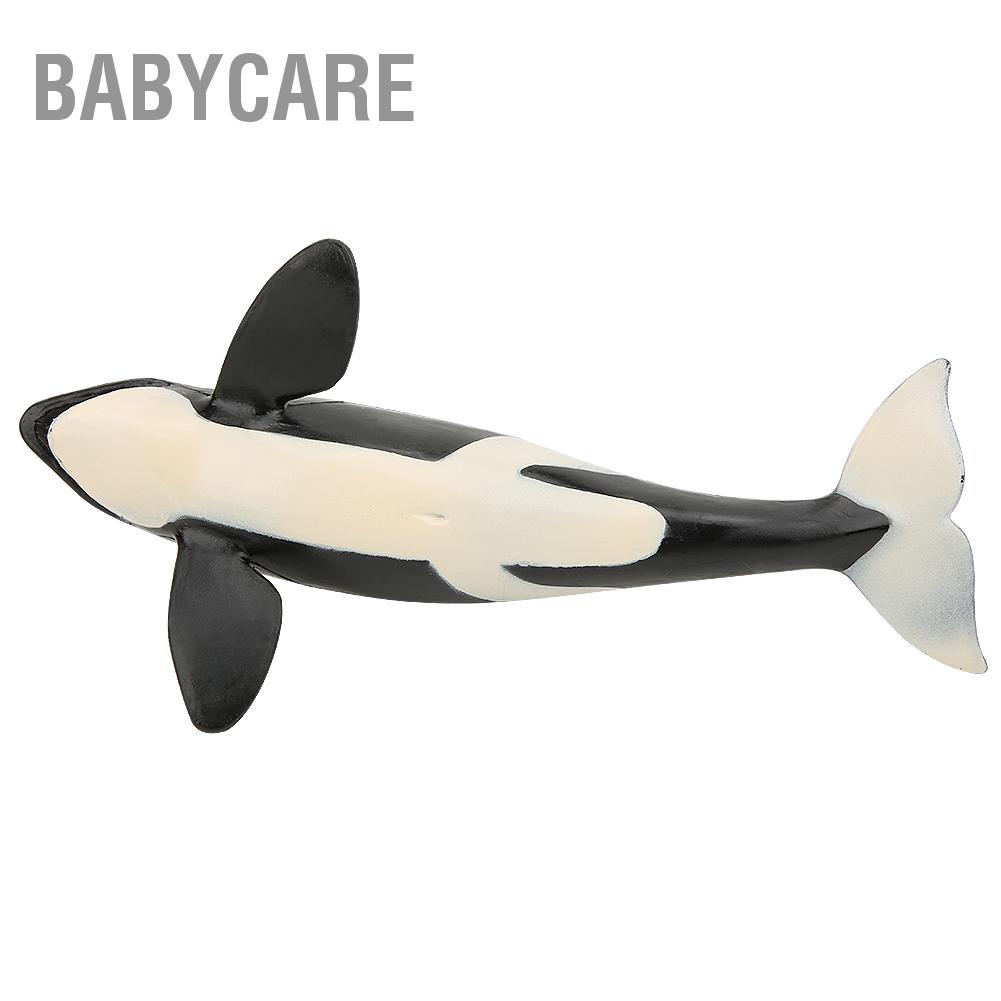 Babycare Có hàng sẵn Hình dạng cá voi sát thủ Mô phỏng mô hình động vật Sinh biển Trẻ em Đồ chơi rắn tĩnh
