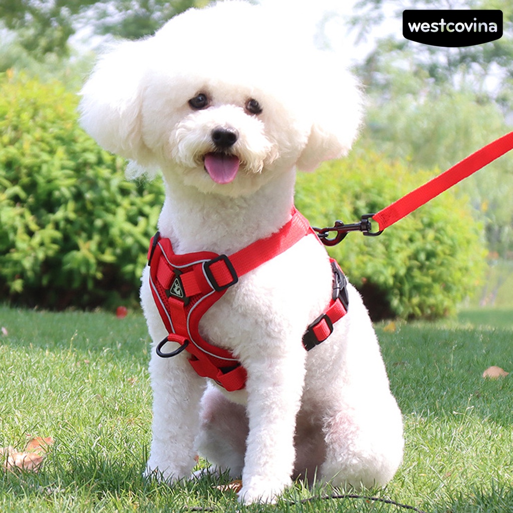 [COD]♞Dây Dắt Thú Cưng Đi Dạo Phản Quang An Toàn Tiện Dụng