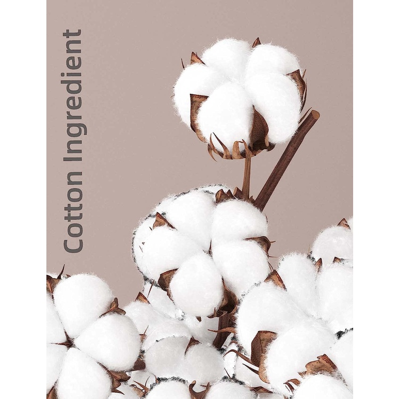 Set 5 Đôi Vớ Cotton Mềm Mại Cho Nam