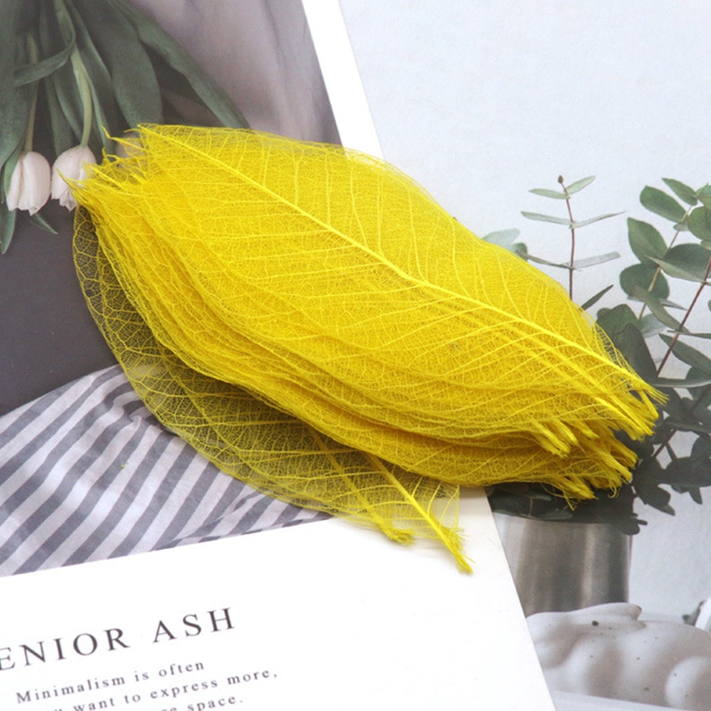 Bộ 100 Chiếc Lá Xương Tự Nhiên Nhiều Màu Sắc Dùng Đánh Dấu Trang Sách Kỉ Niệm