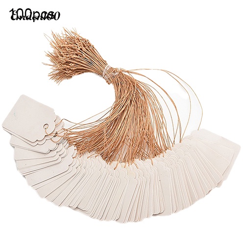 Set 100 Miếng Dán Chống Thấm Nước Trang Trí Cây Trồng