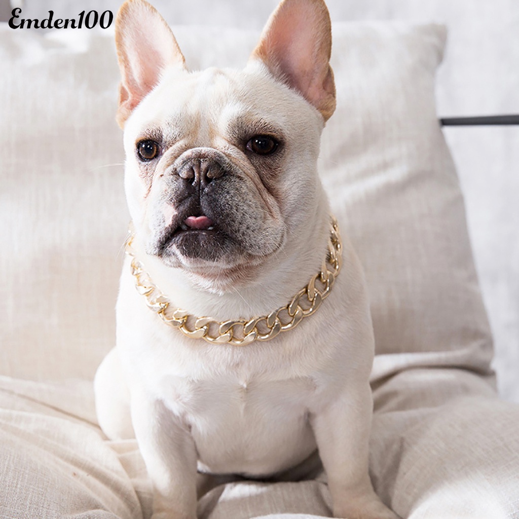 Vòng Cổ Bằng Nhựa Cho Thú Cưng Chó Pitbull