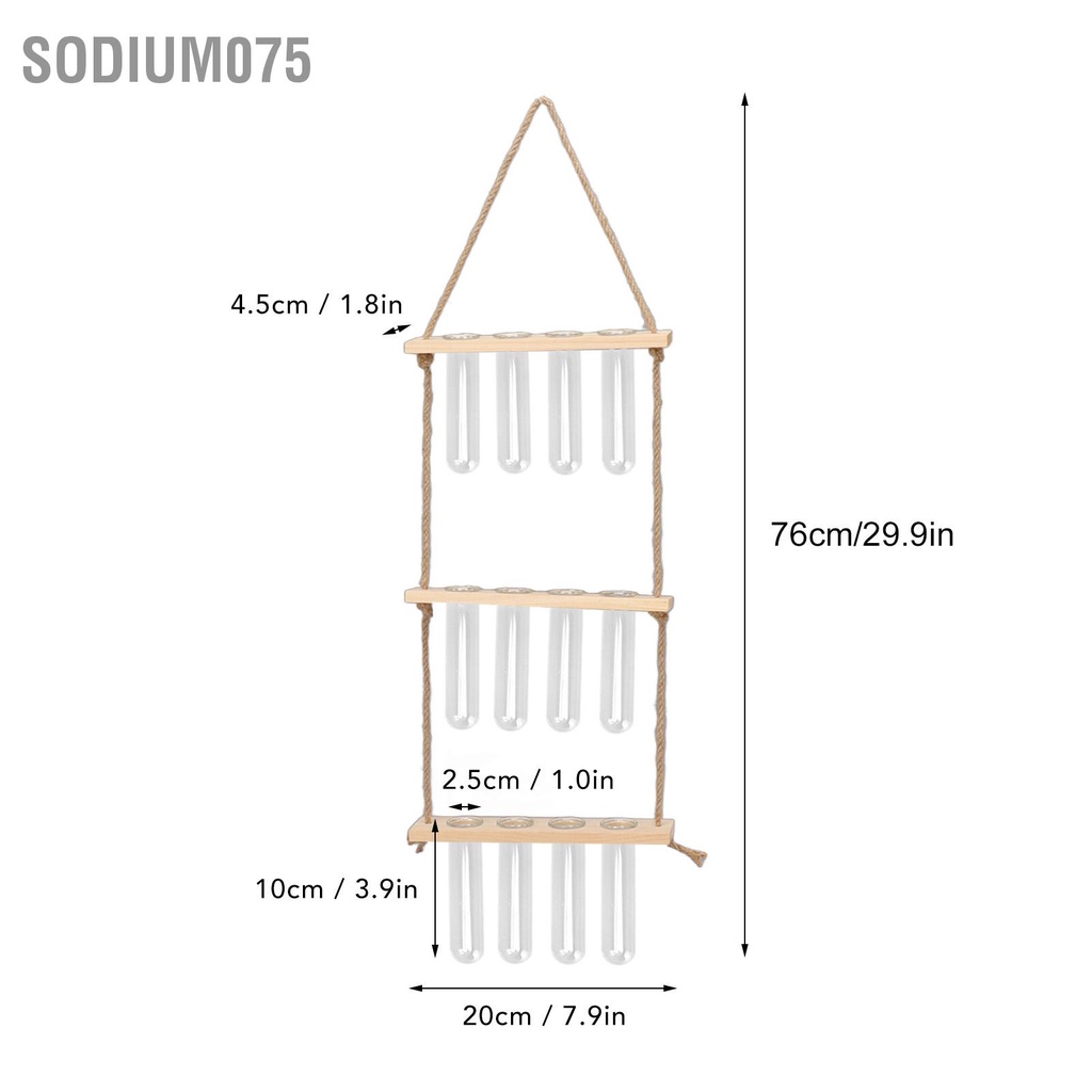 Sodium075 Terrarium thực vật treo tường 3 tầng với 12 giá ống nghiệm Trạm nhân giống thủ công cho các loại thảo mộc