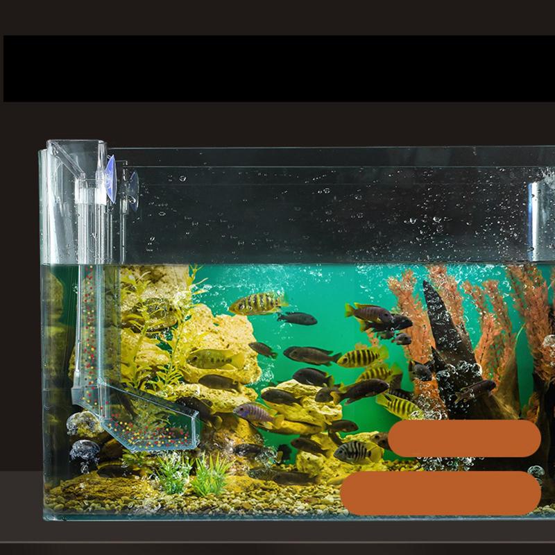 Ống Cho Cá Ăn Trong Suốt Dễ Sử Dụng Tiện Lợi