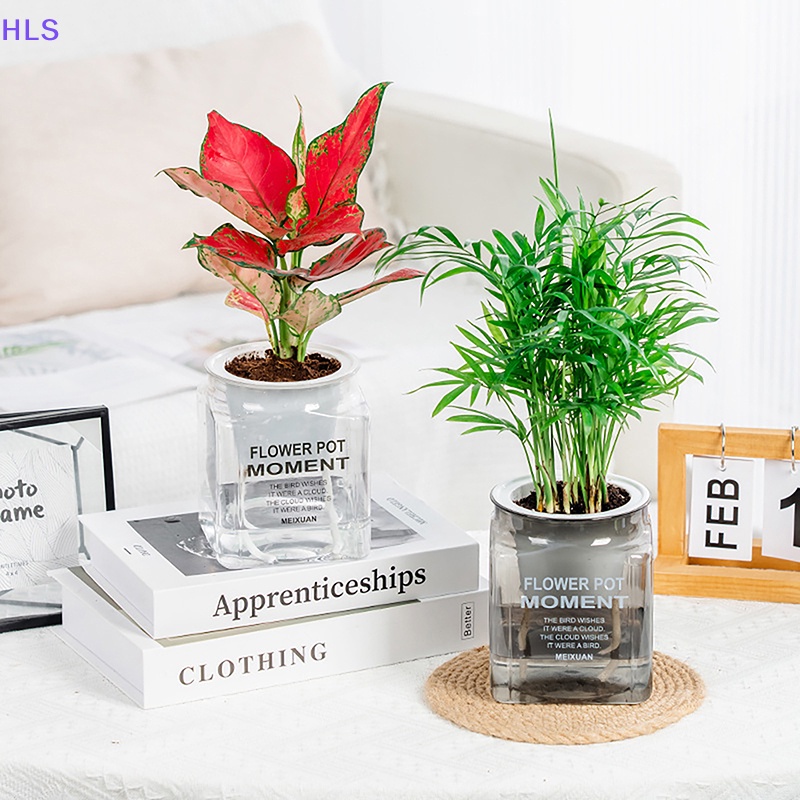 1 Chậu Trồng Cây Hình Vuông Tự Phân Hủy Nước Hiện Đại Trang Trí Nhà Cửa