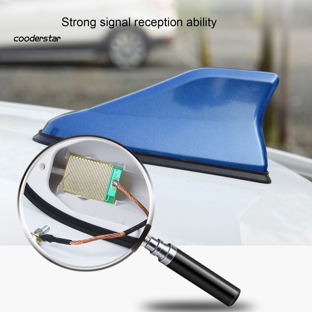 Ăng Ten Hình Vây Cá Mập Gắn Đuôi Xe Hơi Trang Trí