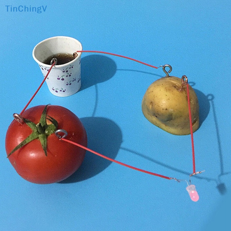 1 Bộ Đồ Chơi Thí Nghiệm Khoa Học Trái Cây Điện Tử Cho Bé