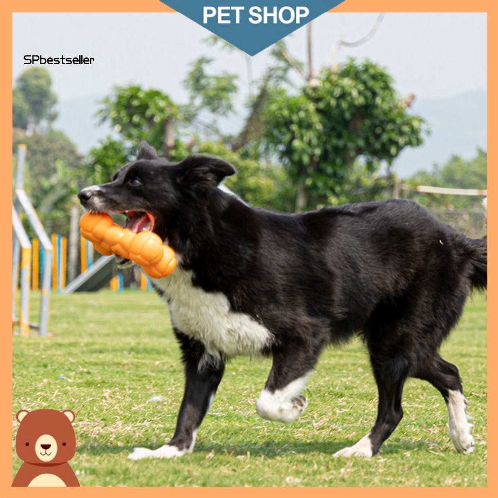 Đồ Chơi Nhai Hình Khúc Xương Siêu Nhẹ Độ Cứng Cao An Toàn Cho Thú Cưng