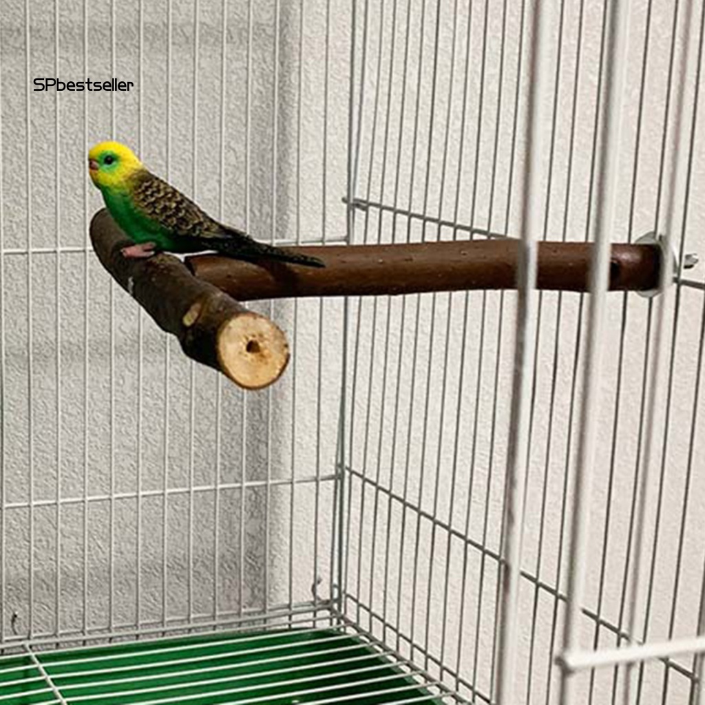 Giá Đỡ Đứng Tiện Dụng Chất Lượng Cao Cho Vẹt Cưng