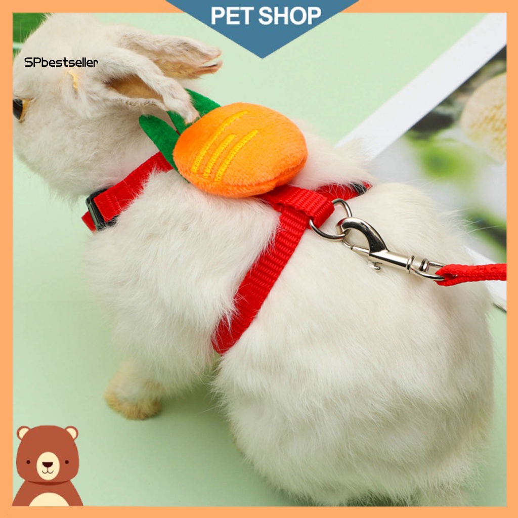 1 Bộ Dây Dắt Thú Cưng Đi Dạo Linh Hoạt Có Thể Điều Chỉnh