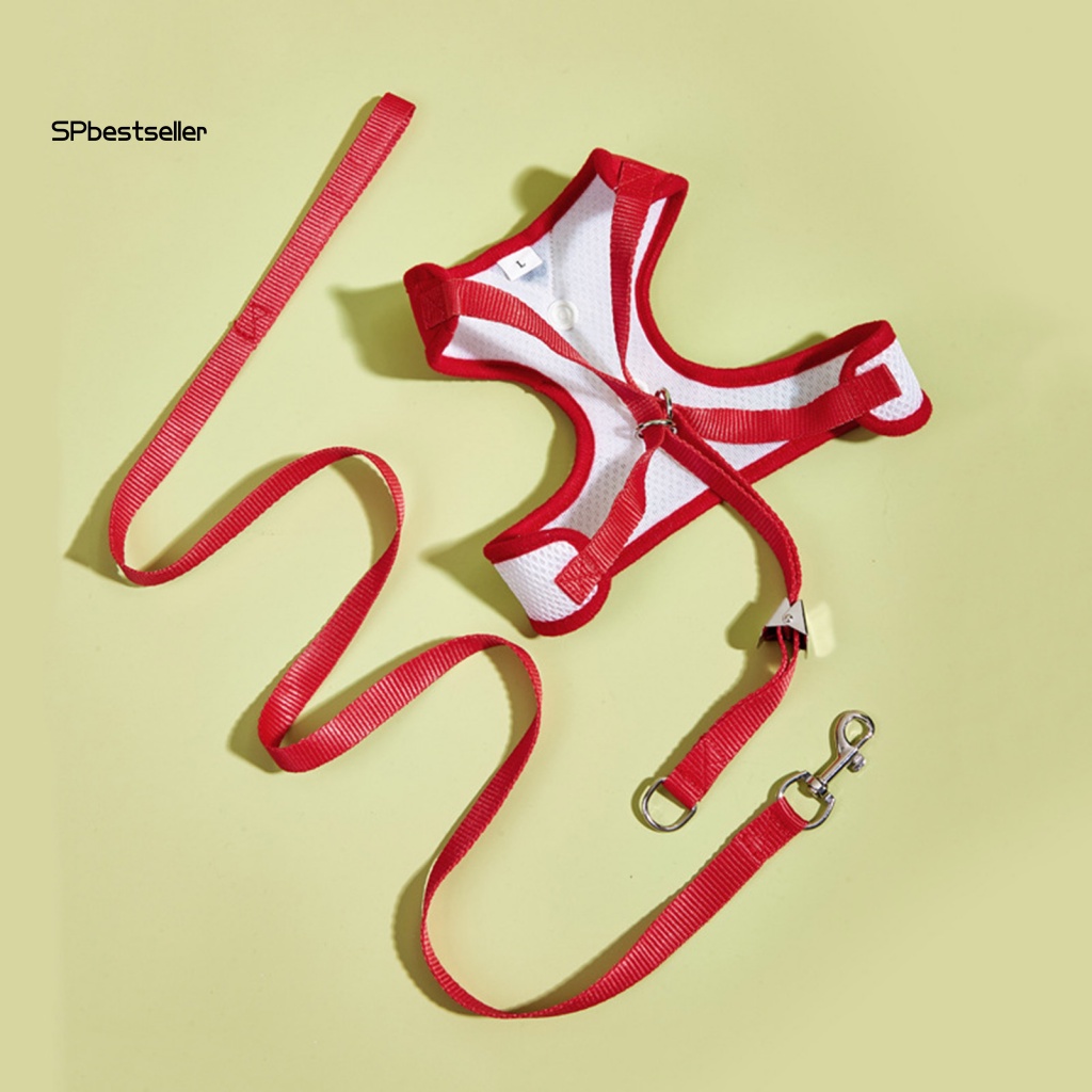 1 Bộ Áo Vest Và Quần Lưới Thời Trang Mùa Hè Dùng Huấn Luyện Chó Cưng