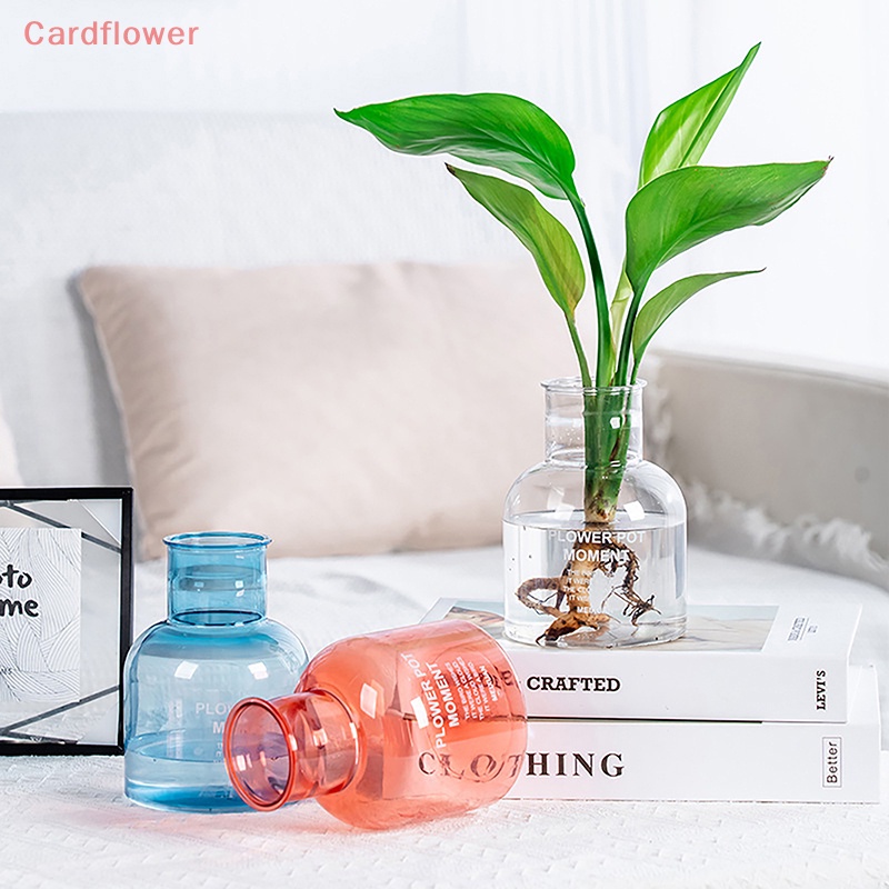 1 Bình Nhựa Trồng Cây Không Cần Đất Để Bàn Trang Trí Mới
