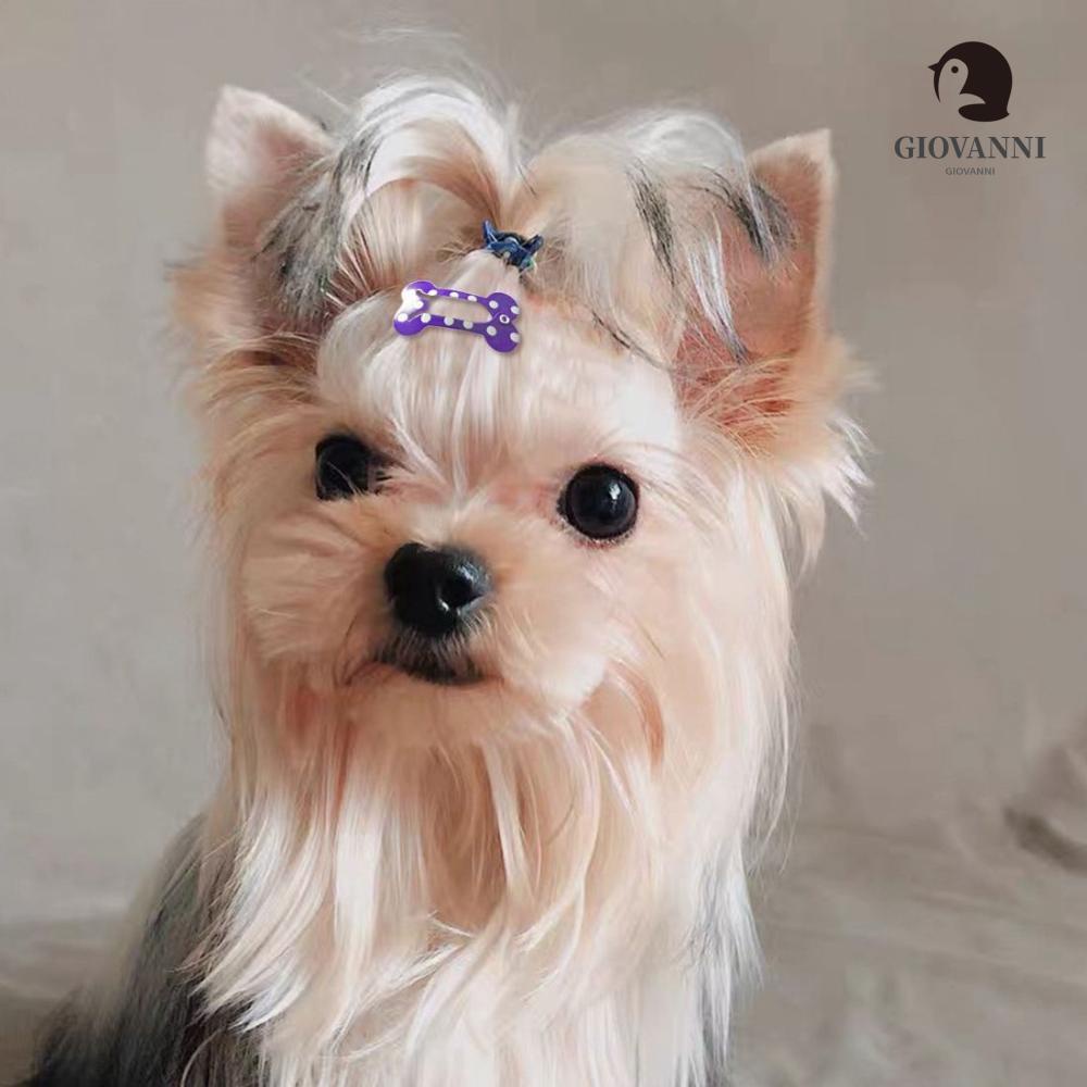 GIOVANNI Set 5 Kẹp Lông Chó Mini Họa Tiết Chấm Bi Dễ Thương
